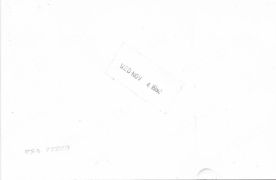 The back of the photo